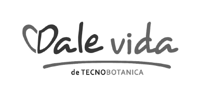 Cliente 16